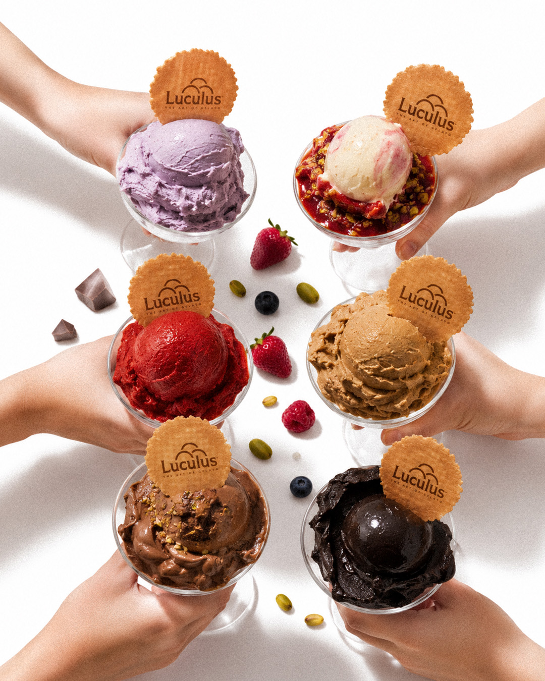 luculus gelato friends